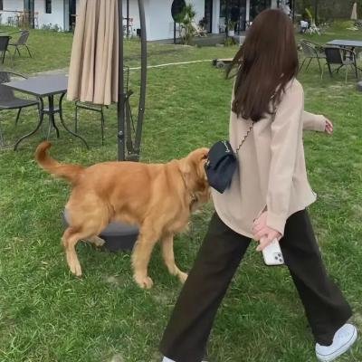 他不是我